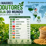 Os 10 maiores produtores de soja do mundo: ranking atualizado para 2025/26